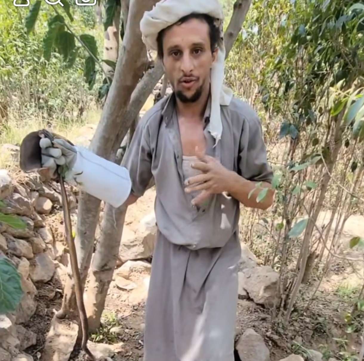 اصطياد ثعبان كوبرا قاتل في تعز.. شاب ينجو من الموت بأعجوبة ( صورة )